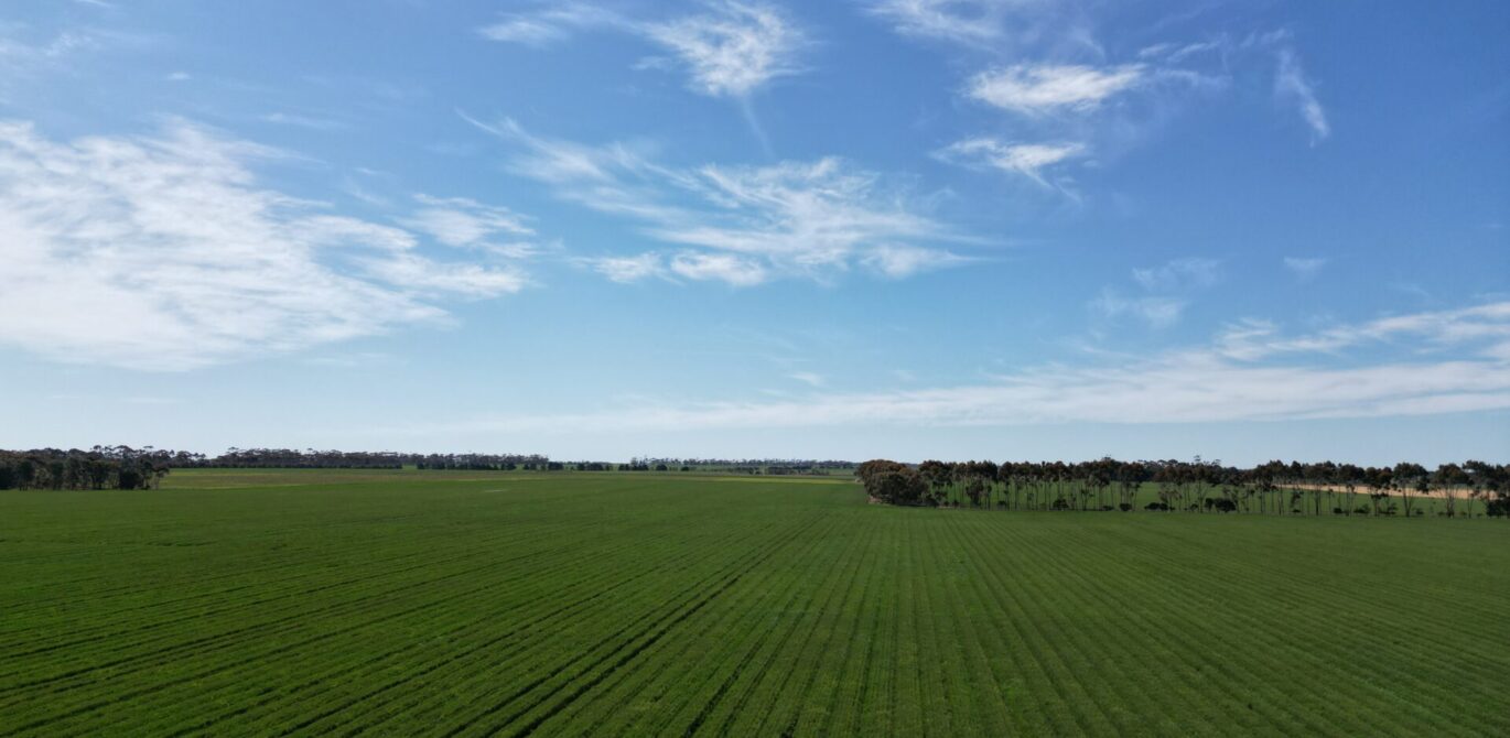 Rural Land Lease – Darlington/Derrinallum VIC